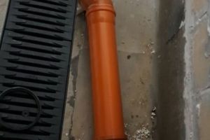 MOP PRAWY _2.jpg