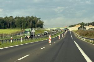 08.09.2025_M-11_KM 31+850.jpeg